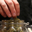 Respected in the industry