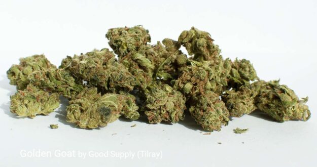 Golden Goat Cannabis Strain: Weed Guide and Review