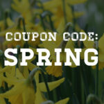 Business Team License