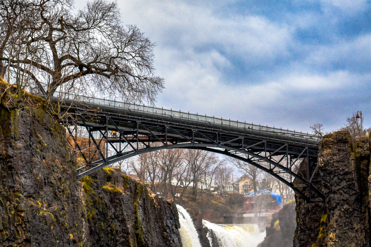 New Jersey Regulations New Jersey Cannabis Laws and Regulations For Industry Professionals 1