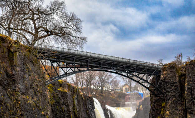 New Jersey Cannabis Laws and Regulations For Industry Professionals 1