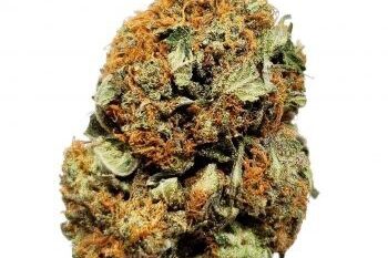 La confidential weed strain
