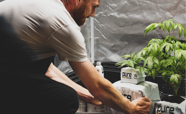 comprehensive guide to growing cannabis