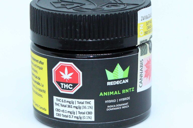 Animal Runtz strain review