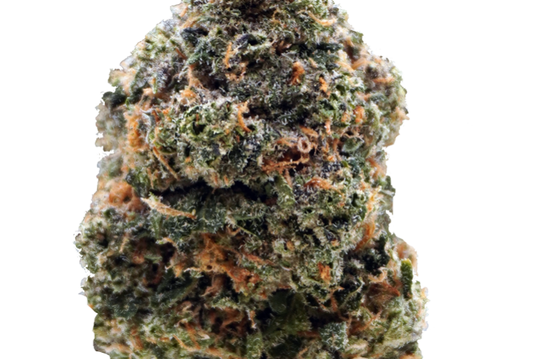 Apple Banana Gelato Apple Banana Gelato strain guide