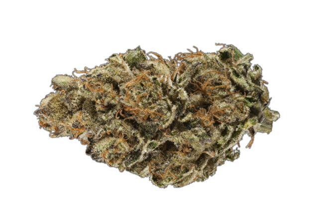 G Code Cannabis Strain