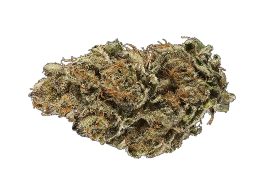 G Code Cannabis Strain