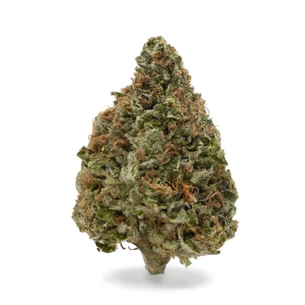 Chill Cherries cannabis strain