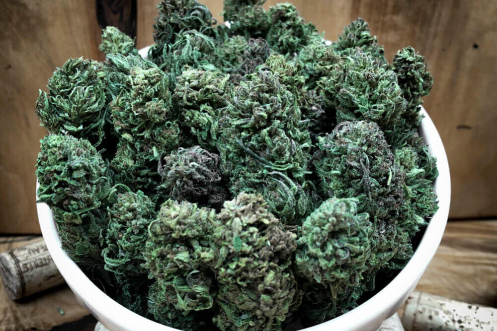 acdc strain acdc strain