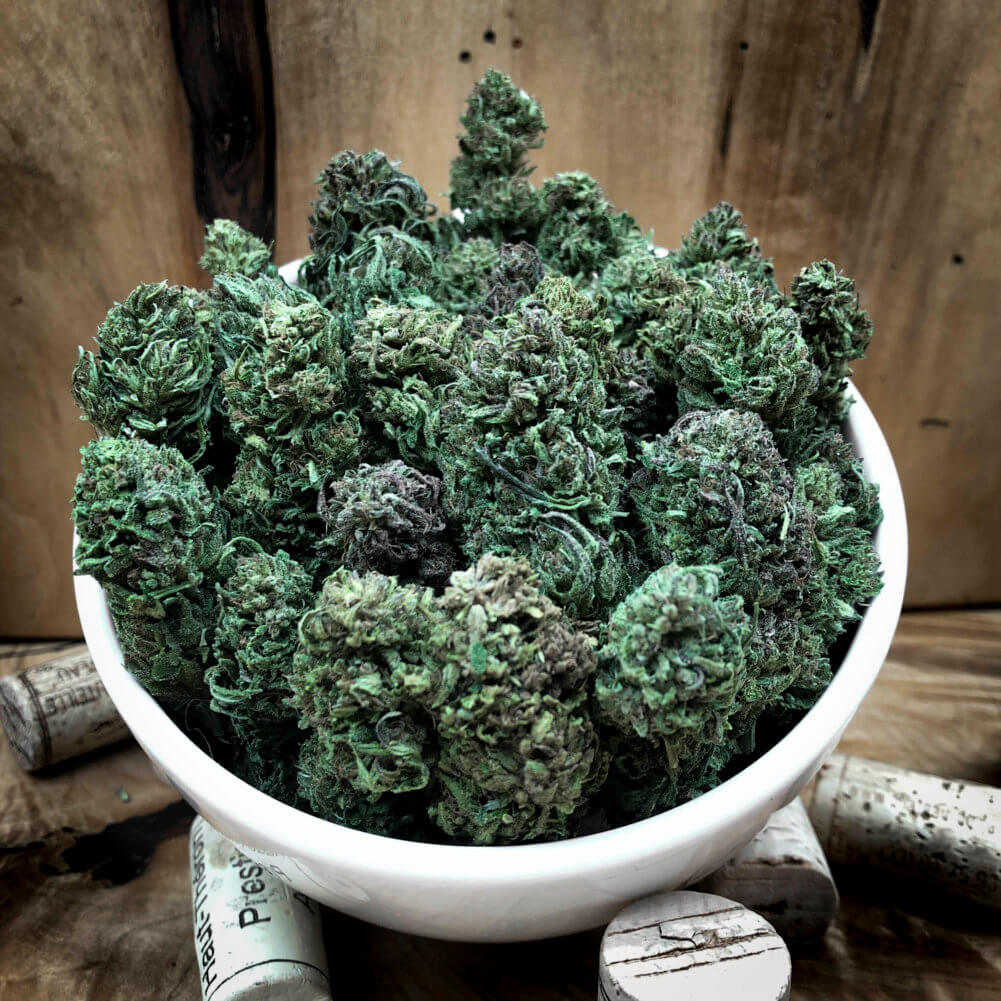 acdc strain