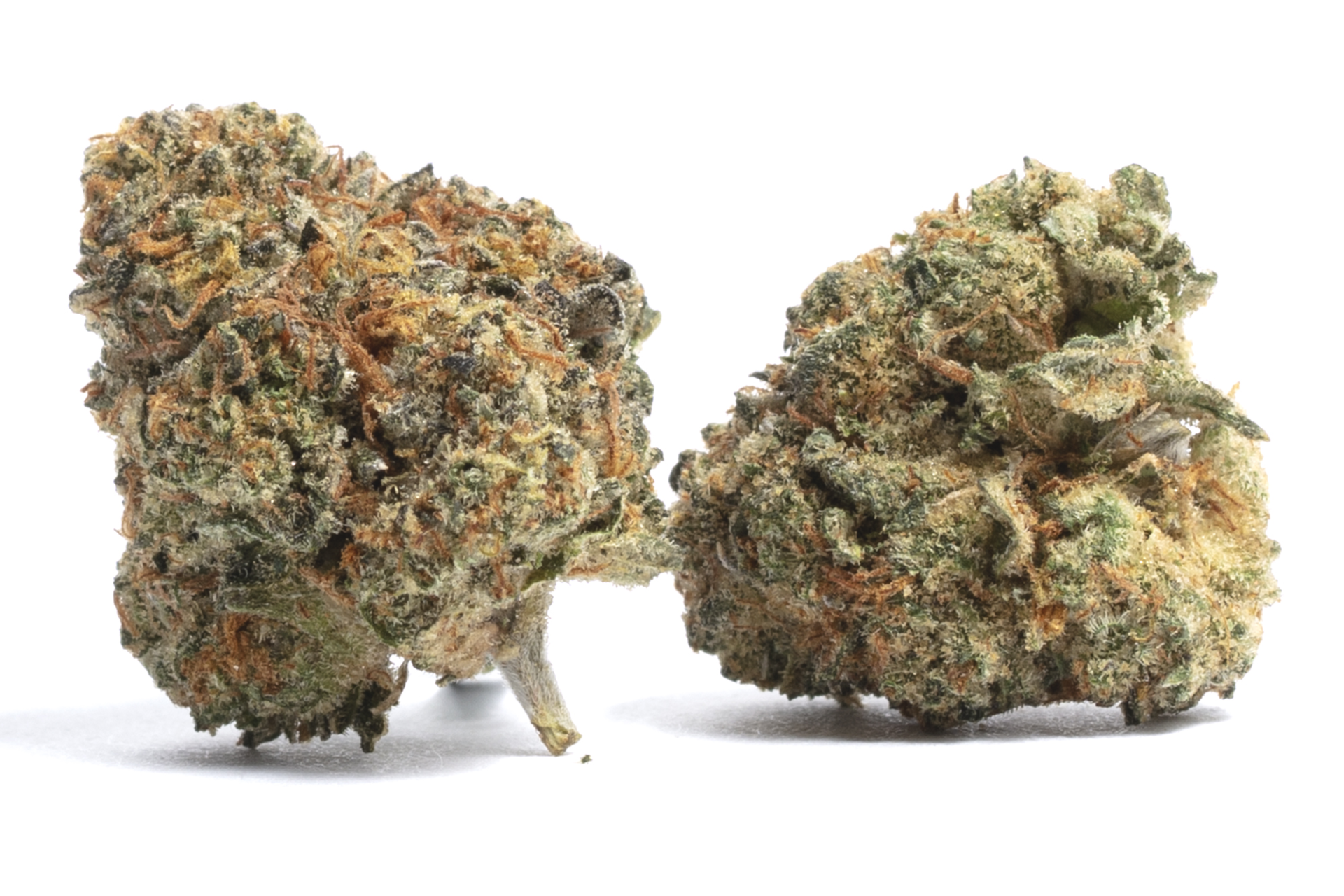 cherry runtz cherry runtz