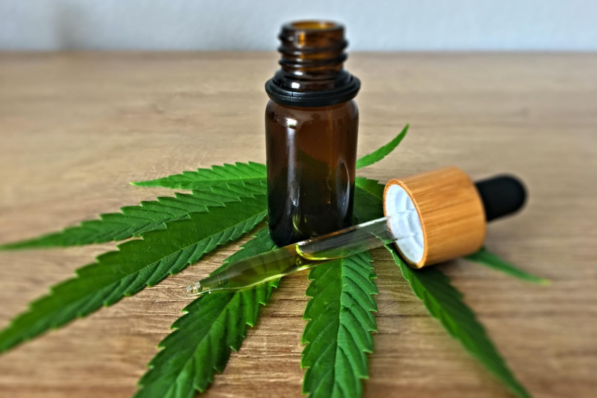 CBD 101: Effects, Benefits, and Full Explanation of Cannabidiol CBD 101: Effects, Benefits, and Full Explanation of Cannabidiol