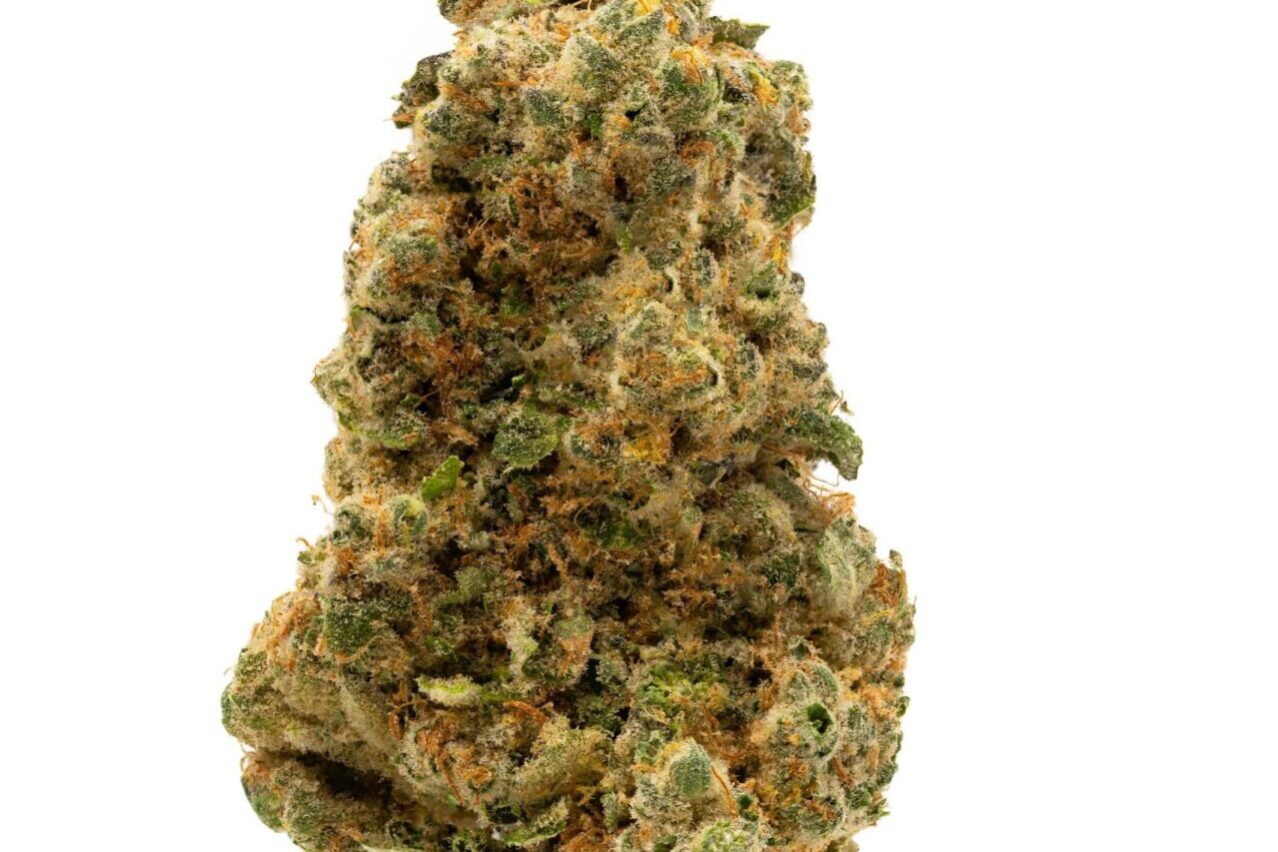 Blackberry-Cheesecake-Final1-5-scaled blackberry cheesecake cannabis strain