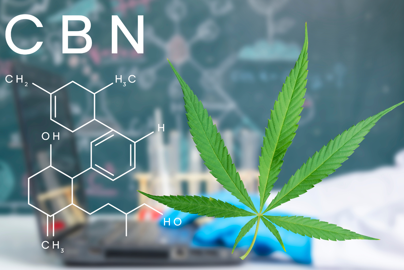 cbn cannabinoid