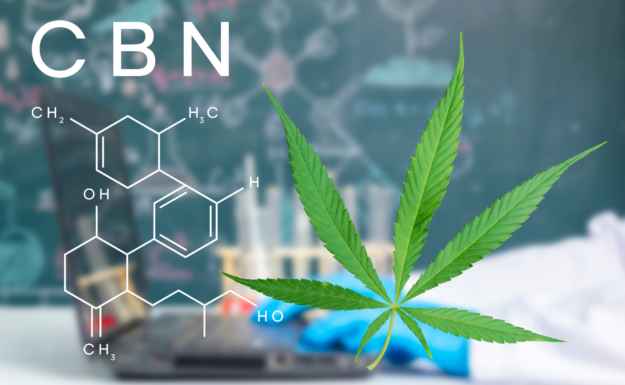 cbn cannabinoid