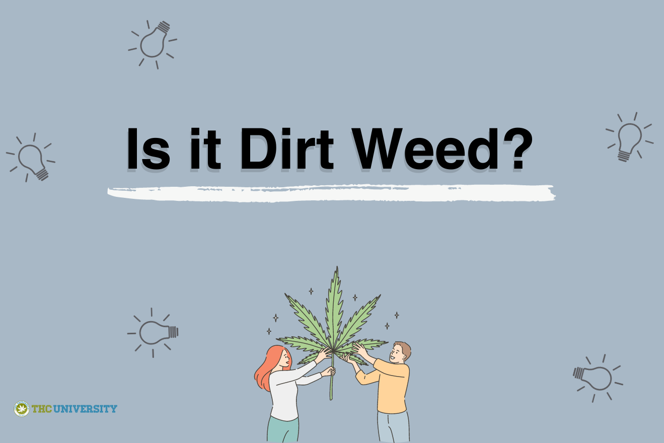 Is it Dirt Weed