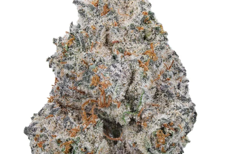 White Truffle strain