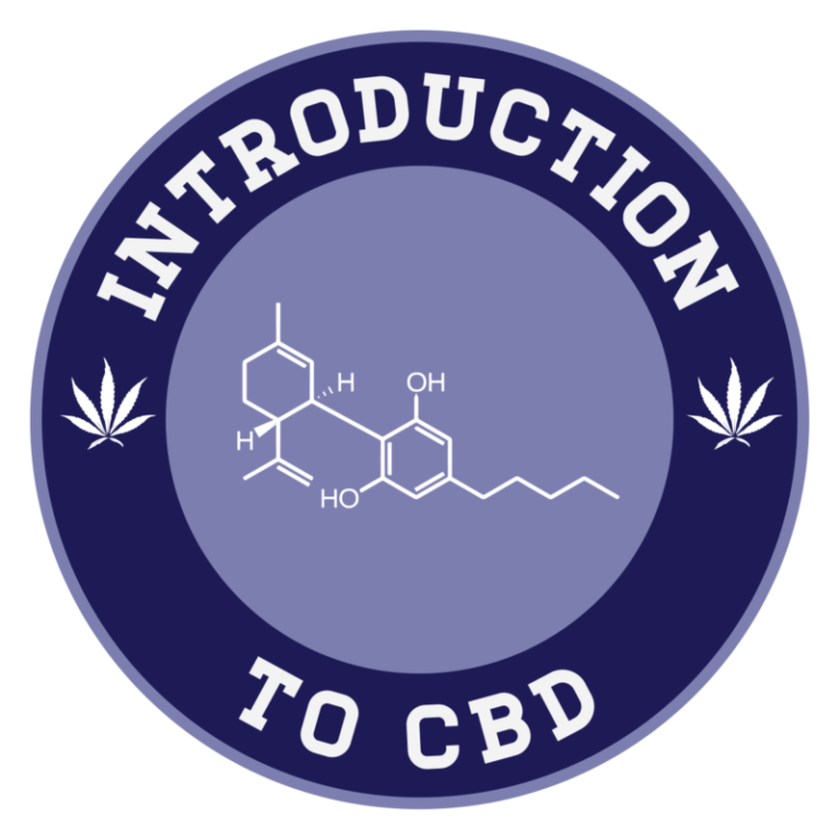 Doctor season 1 christmas special