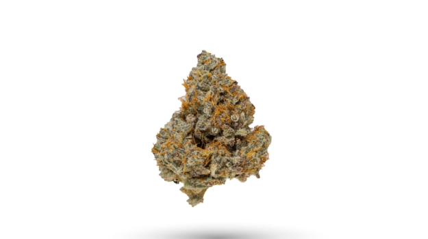 untitled-design-19 Creamsicle strain cannabis