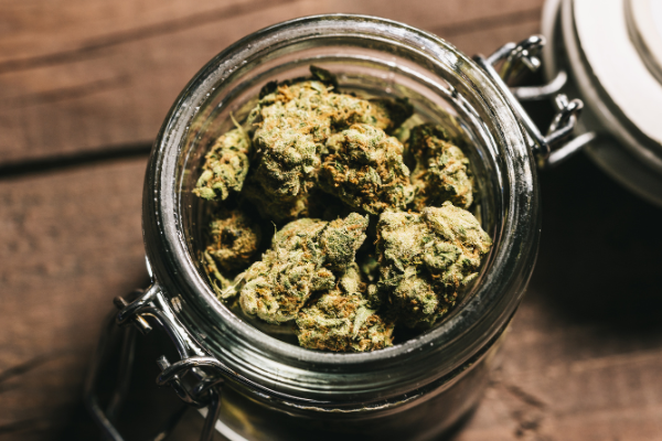 best cannabis strains 2024