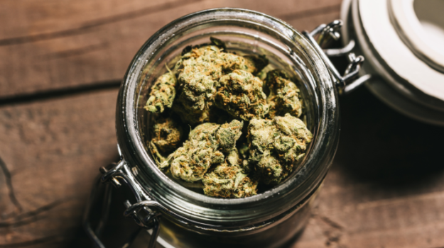 untitled-design-82 best cannabis strains 2024