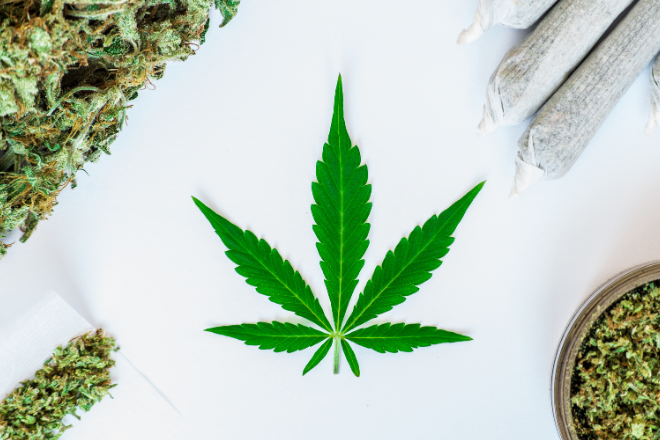 untitled-design-17 8th of weed