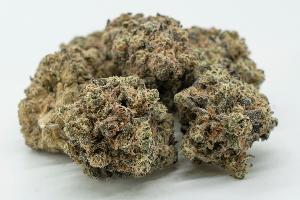 Truffle Queen Strain