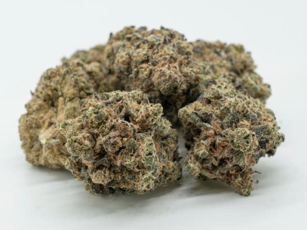untitled-design-18 Truffle Queen Strain