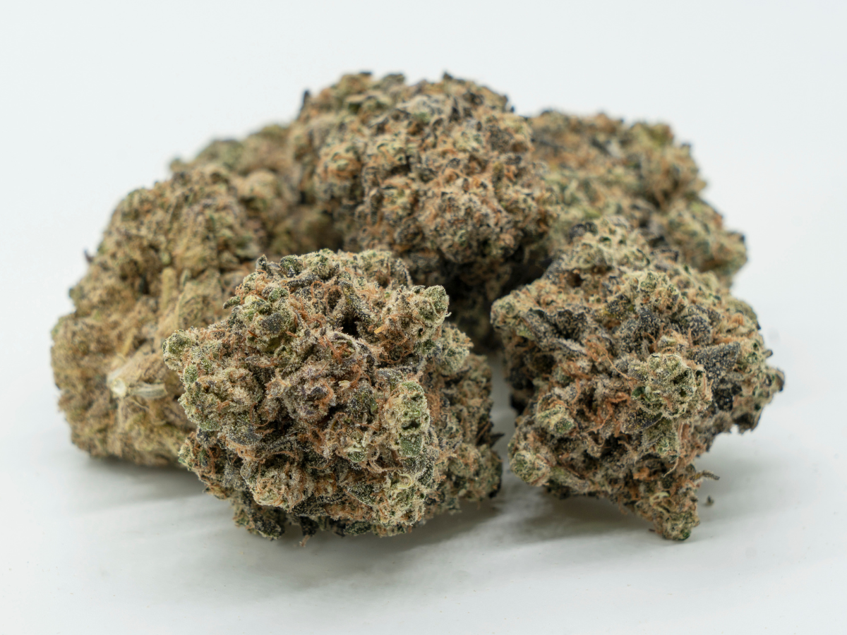 untitled-design-18 Truffle Queen Strain